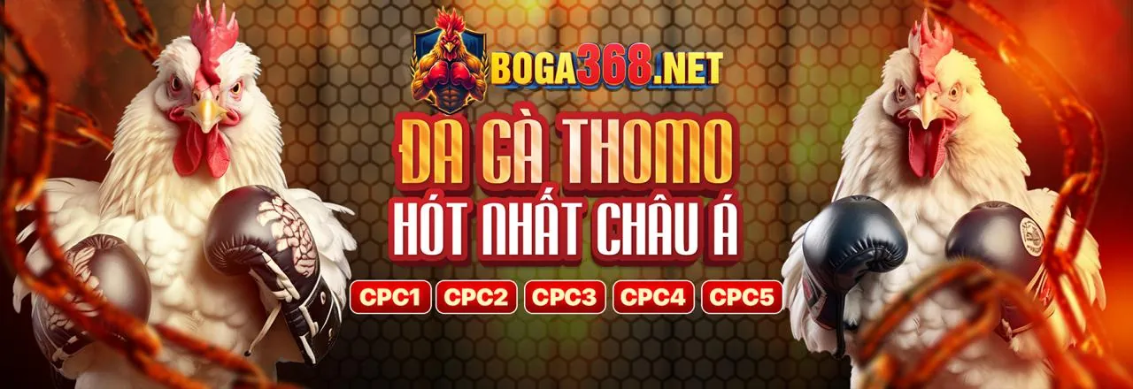 Đá Gà Trực Tuyến Hấp Dẫn tại 88a a